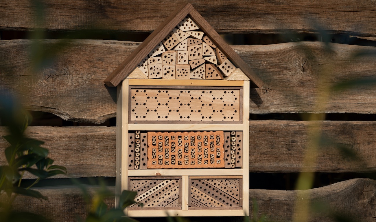 Insektenhotel ausrichten und aufhängen